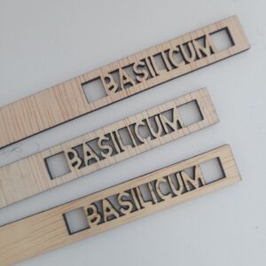 Basilicum